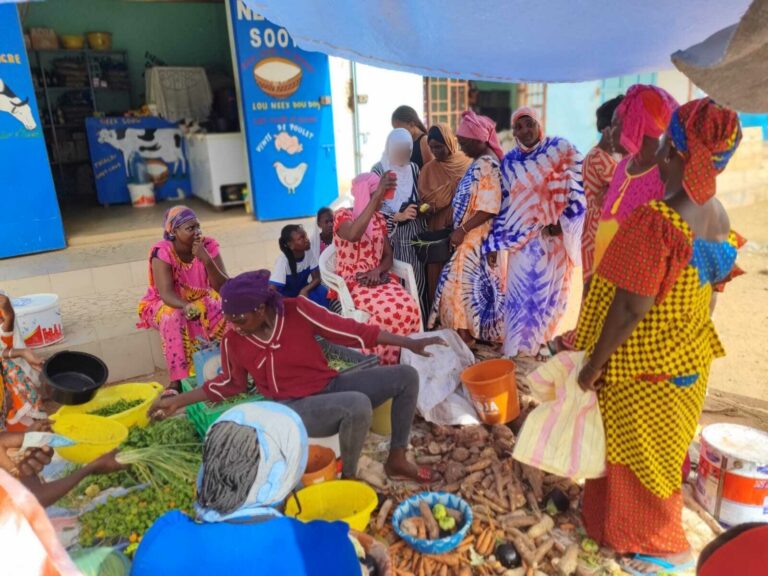 IMG-20251011-WA0014 (1) (1)